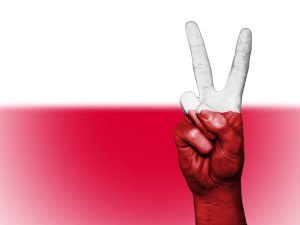 Страхование для визы при поездке в Польшу