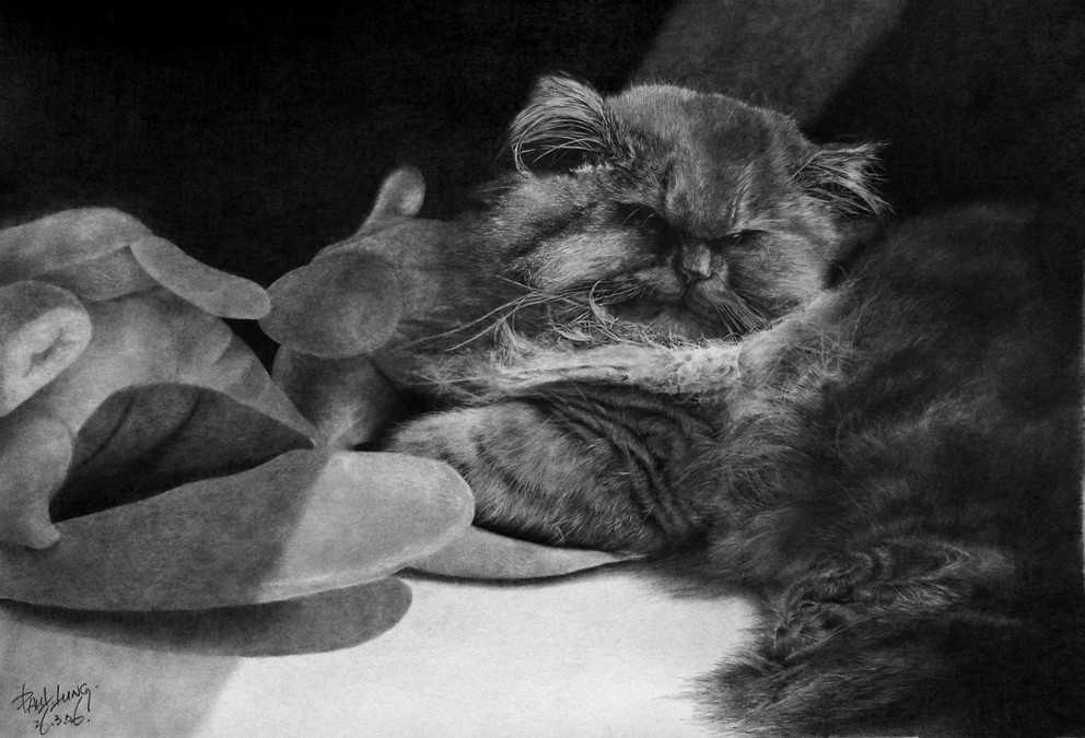 Гиперреализм, карандаш и котики Гиперреализм, карандаш и котики коты, художники