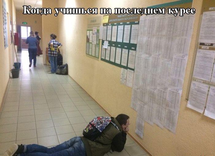 Подборка картинок Подборка картинок картинки, приколы