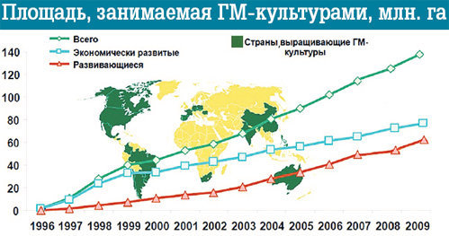 Полезно знать. ГМО