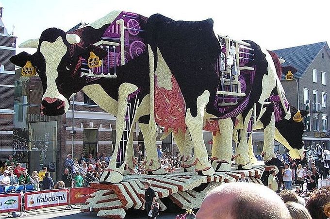 ����������� ��������� ���������� �� ������ Bloemencorso Zundert (17)