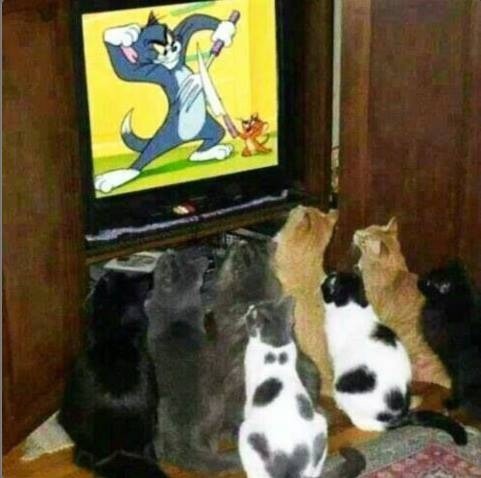     , 