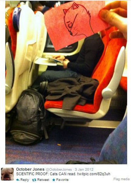 Чем занять себя во время поездки на работу (23 фото)