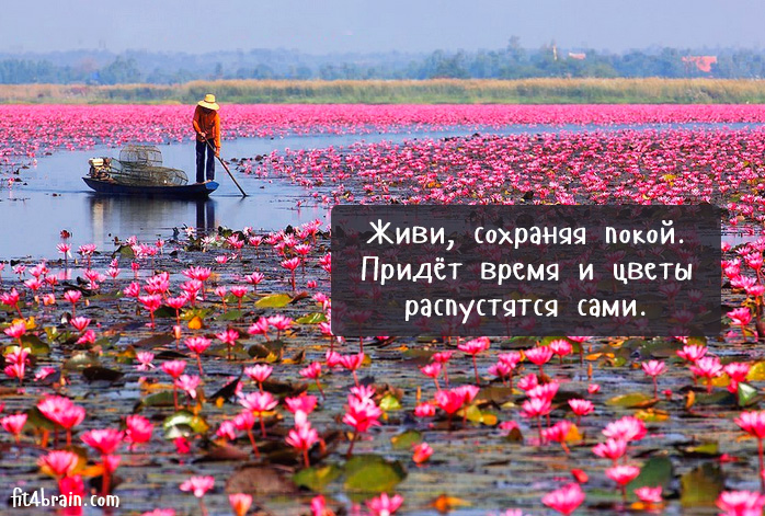 Любовь и семья Как сшить платье-бандо