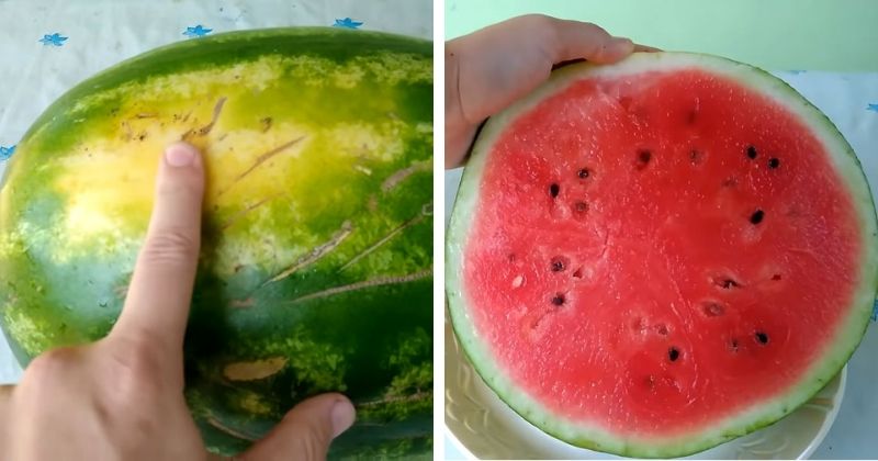 Важно знать: выбираем самый спелый, вкусный арбуз без нитратов
