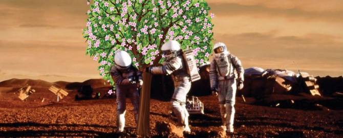 Когда на Марсе зацветут яблони?