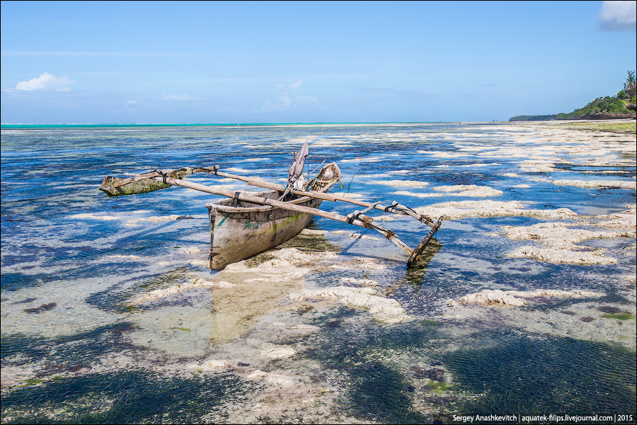 Ras Michamvi, Zanzibar / Ras Michamvi