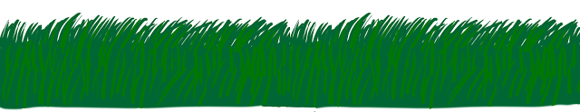 green_grass_3