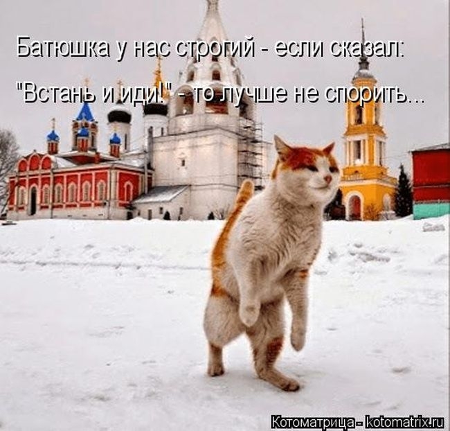 1426799354_23 (650x622, 182Kb)