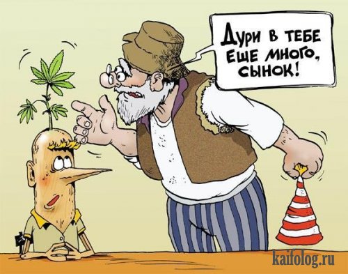 Прикольные карикатуры (35 картинок) Прикольные карикатуры (35 картинок)