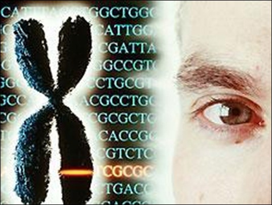 genes genes