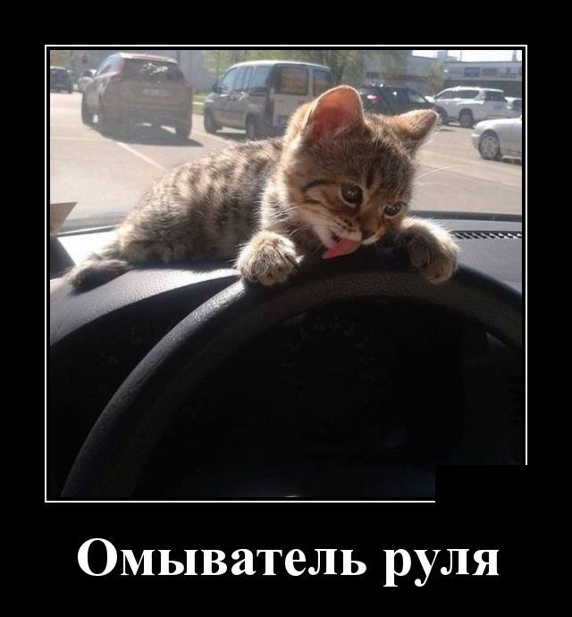 Демотиваторы Демотиваторы