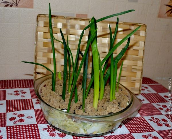 ������ �������