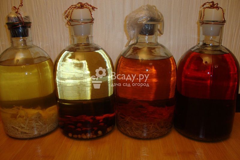 Классическая брага из старого варенья для самогона