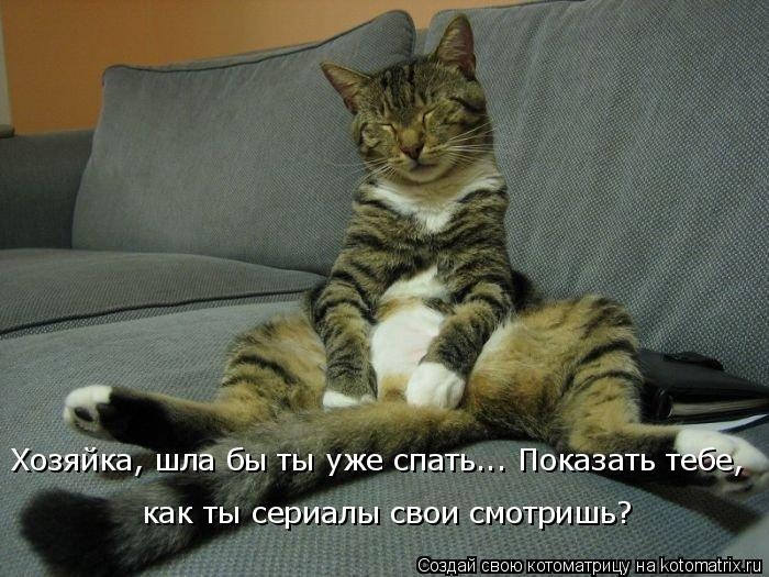 Санитар Васька (котоматрица) 40 фото Санитар Васька (котоматрица) 40 фото