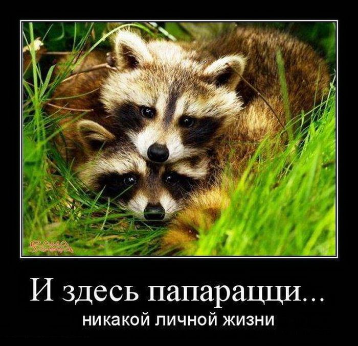 Демотиваторы (30 фото) Демотиваторы (30 фото)