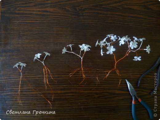 Бонсай топиарий Мастер-класс Моделирование конструирование Мой первый МК Дерево Весеннее Настроение Гипс Краска Проволока фото 5