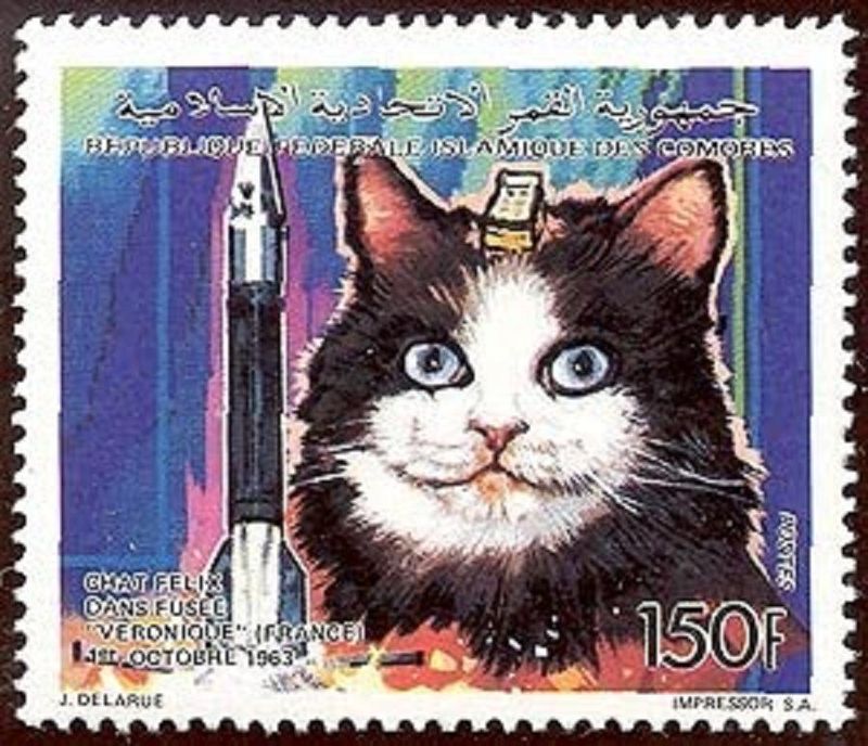 animalspace09 animalspace09 История покорения космоса животными