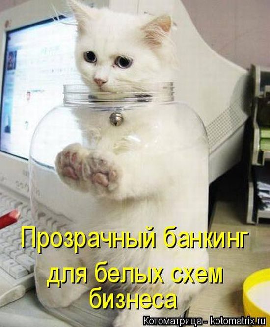 Лучшие котоматрицы прошедшей недели