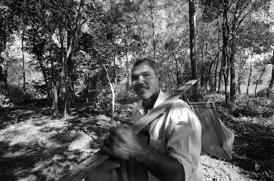 Подборка интересных фактов