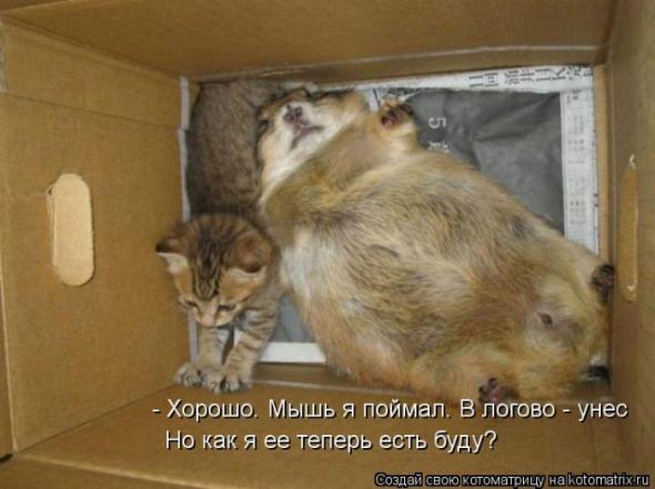 �����������(�������� � ���������)