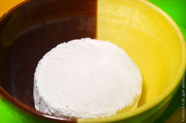 ������ � ��������