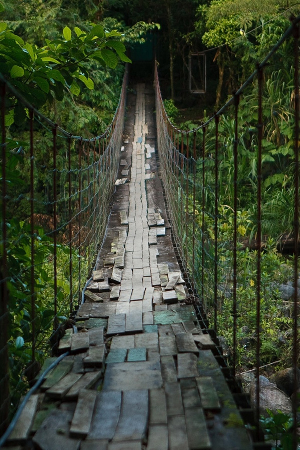 Insane Hanging Bridges 7     