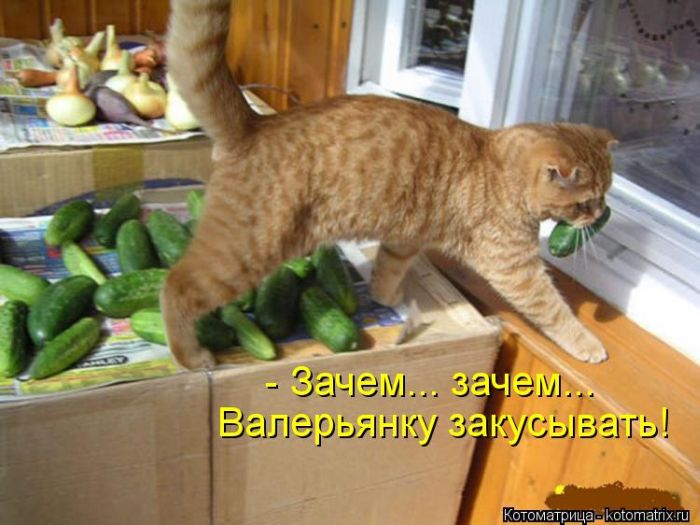   ... !