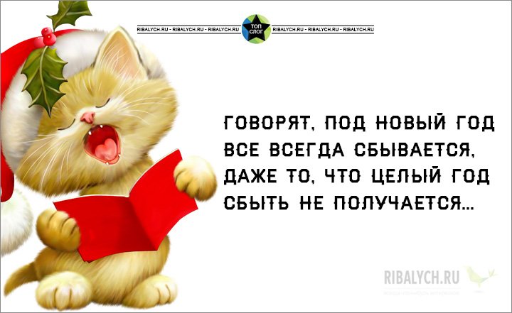Весёлый статус про новый год Весёлый статус про новый год