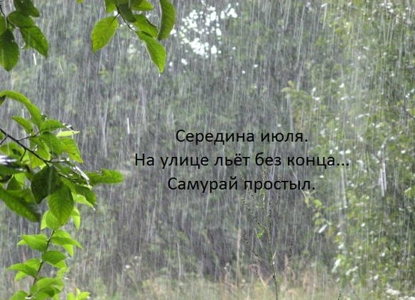 Вот оно какое наше лето!... Вот оно какое наше лето!...