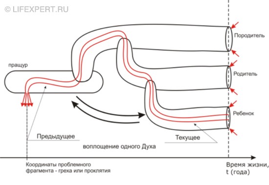 Трансляция родовых кармических проблем при перевоплощении души