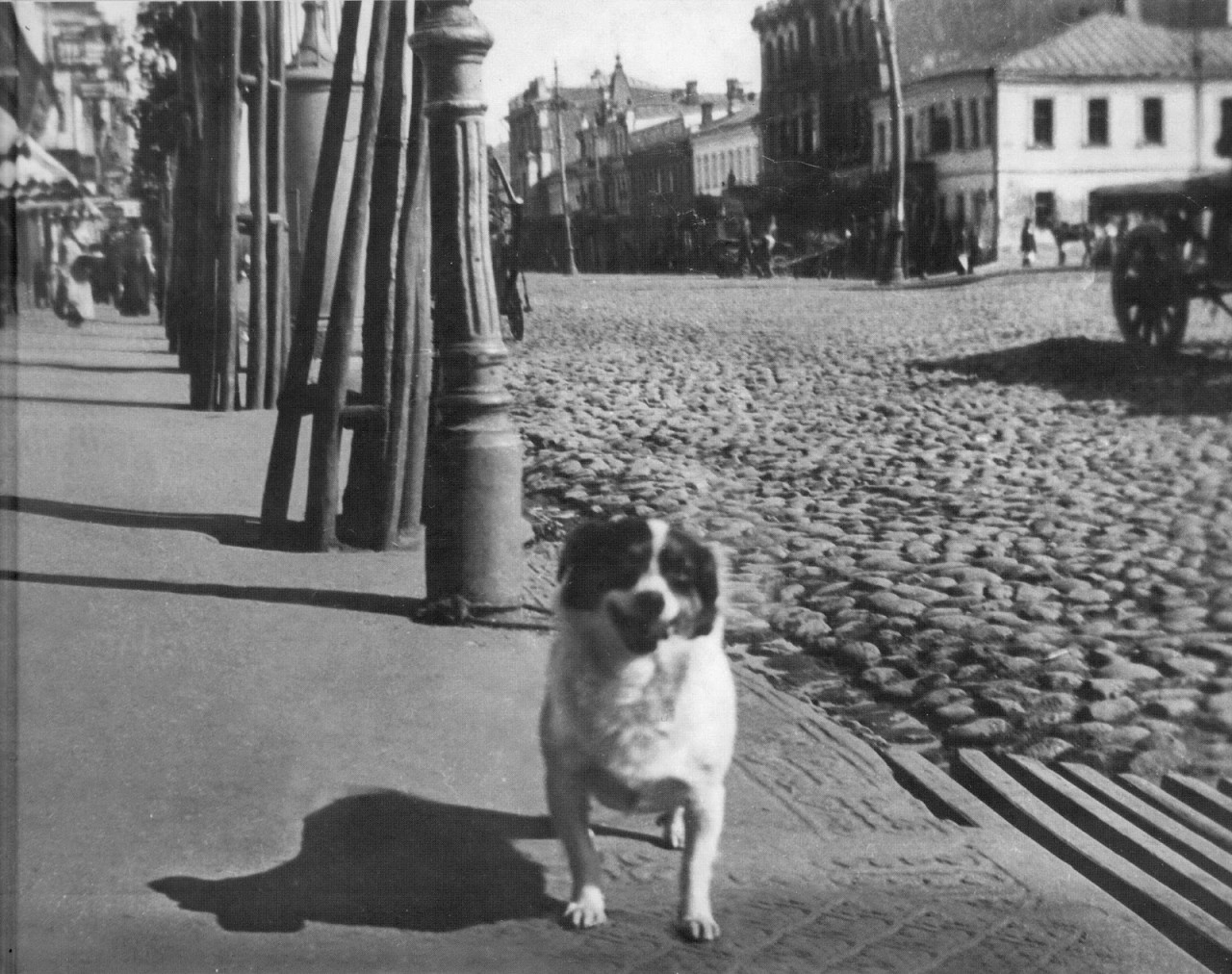 УНИКАЛЬНЫЕ ФОТОГРАФИИ ДОРЕВОЛЮЦИОННОЙ МОСКВЫ Уникальные фотографии дореволюционной Москвы