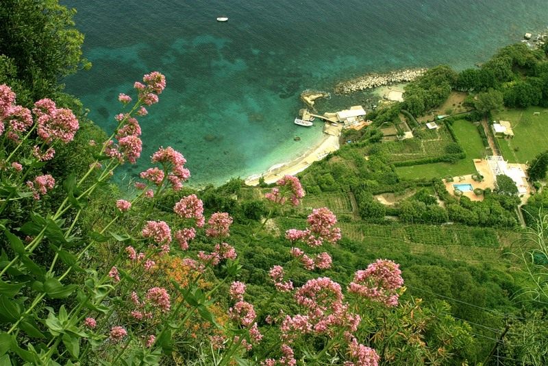 NewPix.ru - Живописный остров Капри,Италия