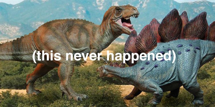 11. Больше времени отделяет существование стегозавра от тираннозавра рекса, чем существование последнего и человека, интересные, факты