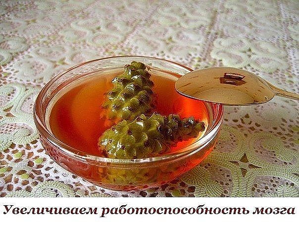 УВЕЛИЧИВАЕМ РАБОТОСПОСОБНОСТЬ МОЗГА - РАСШИРЯЕМ СОСУДЫ УВЕЛИЧИВАЕМ РАБОТОСПОСОБНОСТЬ МОЗГА - РАСШИРЯЕМ СОСУДЫ