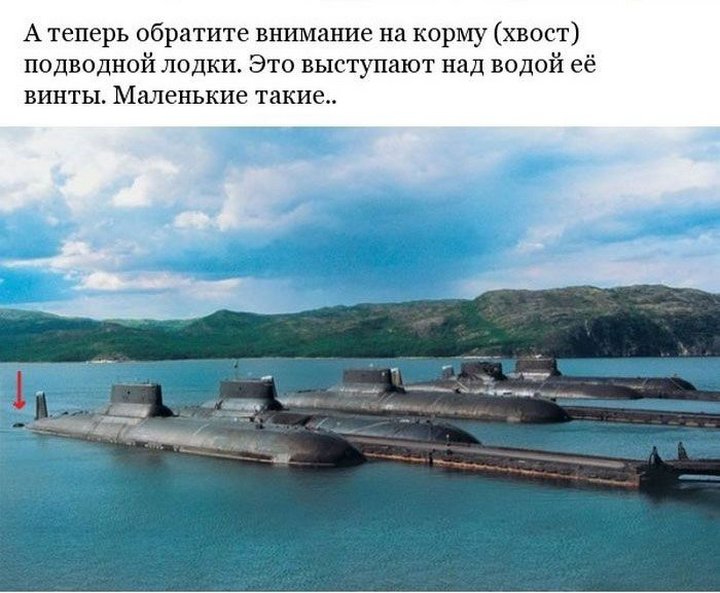 Легендарная подводная лодка «Акула» Легендарная подводная лодка «Акула»