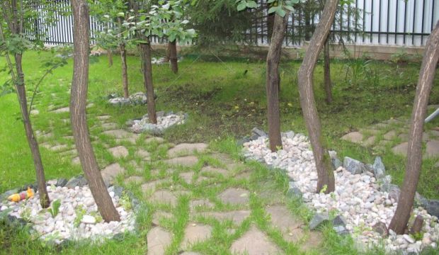 Как сделать приствольный круг под яблоней Как сделать приствольный круг под яблоней
