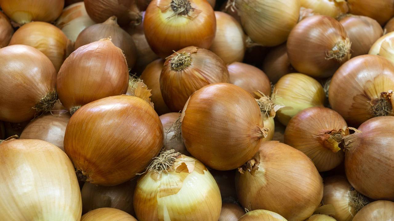 Обнаружены нейтрализующие вредное воздействие сахара овощи