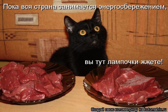 Лучшие котоматрицы недели (49 фото) Забавный котопост