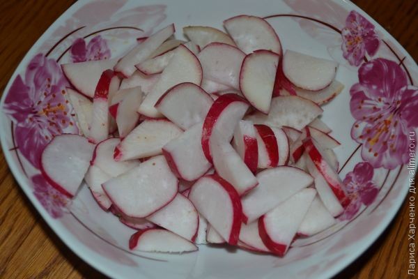 ������ ������ � �������