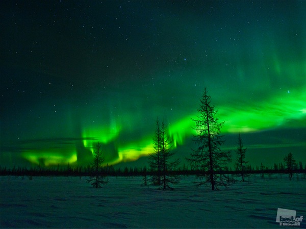 Лучшие фотографии России за 2011 год Лучшие фотографии России за 2011 год