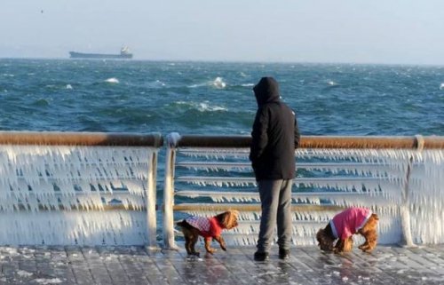 Прикольные картинки, на ночь глядя (53 шт)