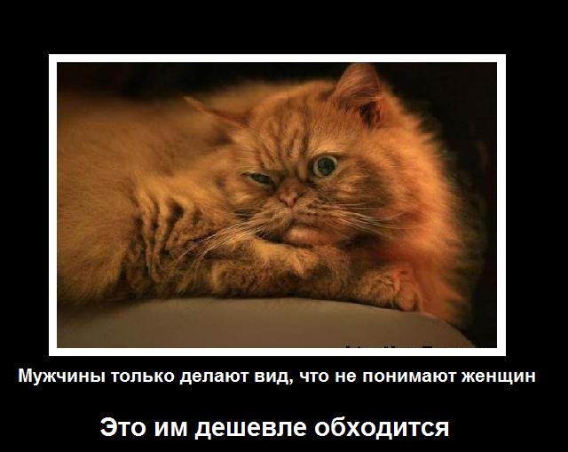Еще раз о женской логике