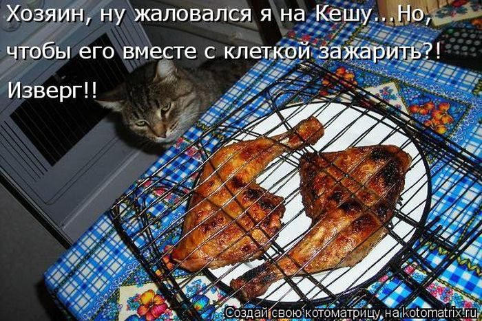 Лучшие котоматрицы прошедшей недели