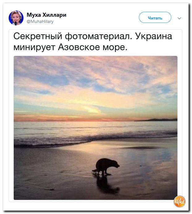 Соц.сети жгут напалмом! Злобные (сарказм) комментарии о последних событиях в мире Соц.сети жгут напалмом! Злобные (сарказм) комментарии о последних событиях в мире
