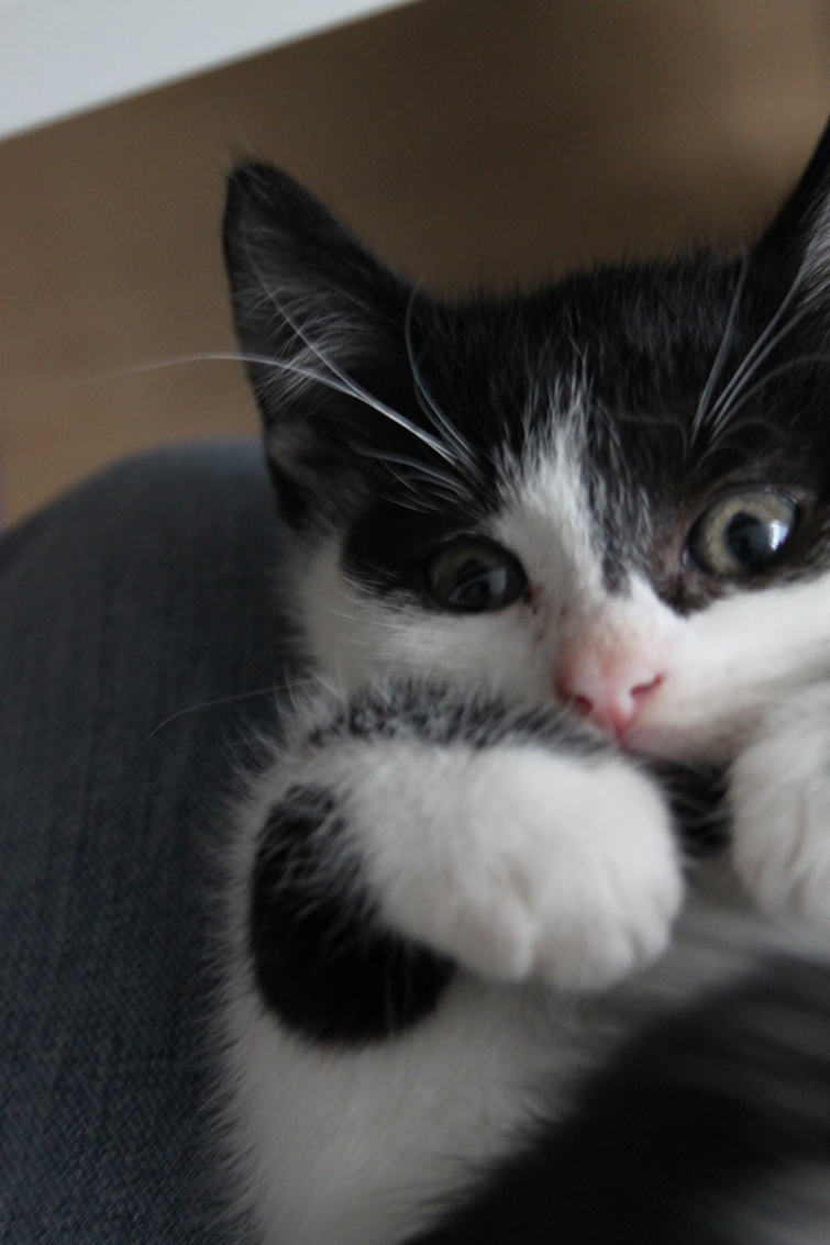 67fc6ec3a272e8b033903fbe9ae9d304