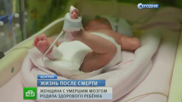 Беременной приснился сон что родила сына 15
