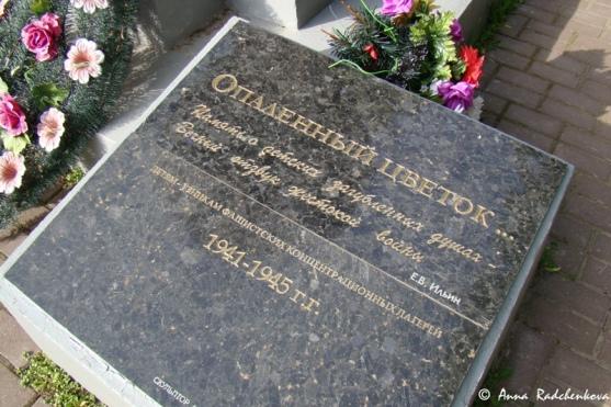 Опаленный цветок Опаленный цветок