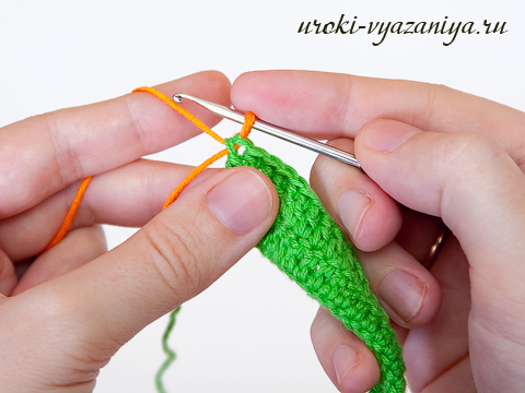 ����� ������ �������