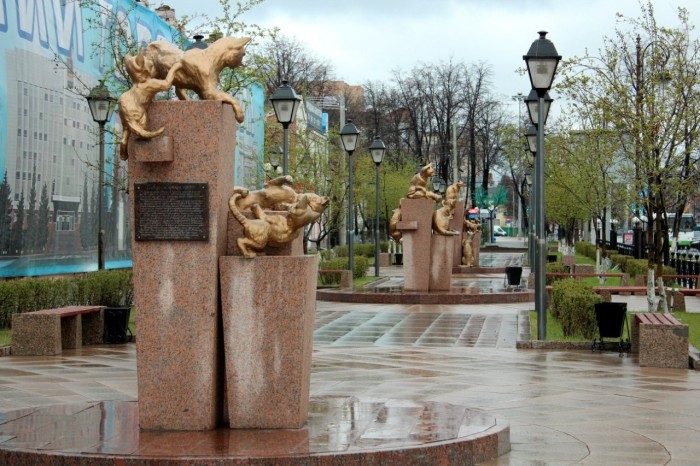 Сквер сибирских кошек. / Фото: www.fishki.net Сквер сибирских кошек. / Фото: www.fishki.net
